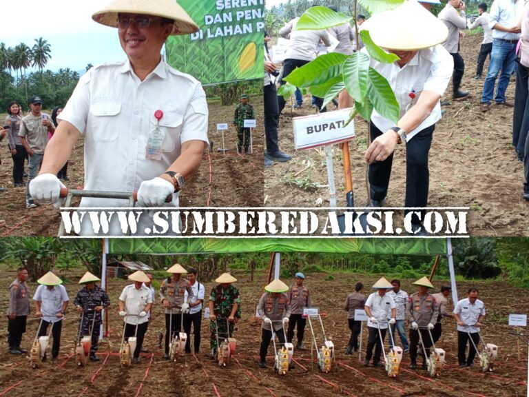 Wakili Bupati JG, Sekda Novly Wowiling Menanam Jagung Serentak Kuartal 3 di Desa Laikit