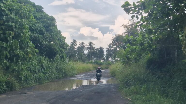 Bupati Joune Ganda Pastikan Pekan Depan Jalan di Sekitaran Kantor Bupati Segera Diperbaiki