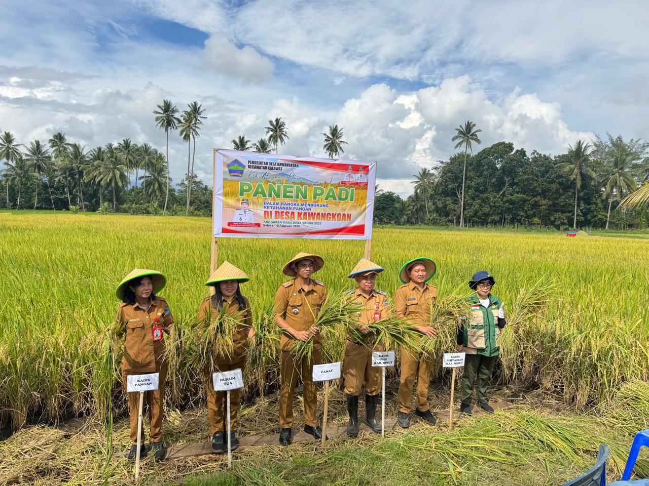 Mendukung Ketahanan Pangan Nasional, Desa Kawangkoan Laksanakan Panen Padi 