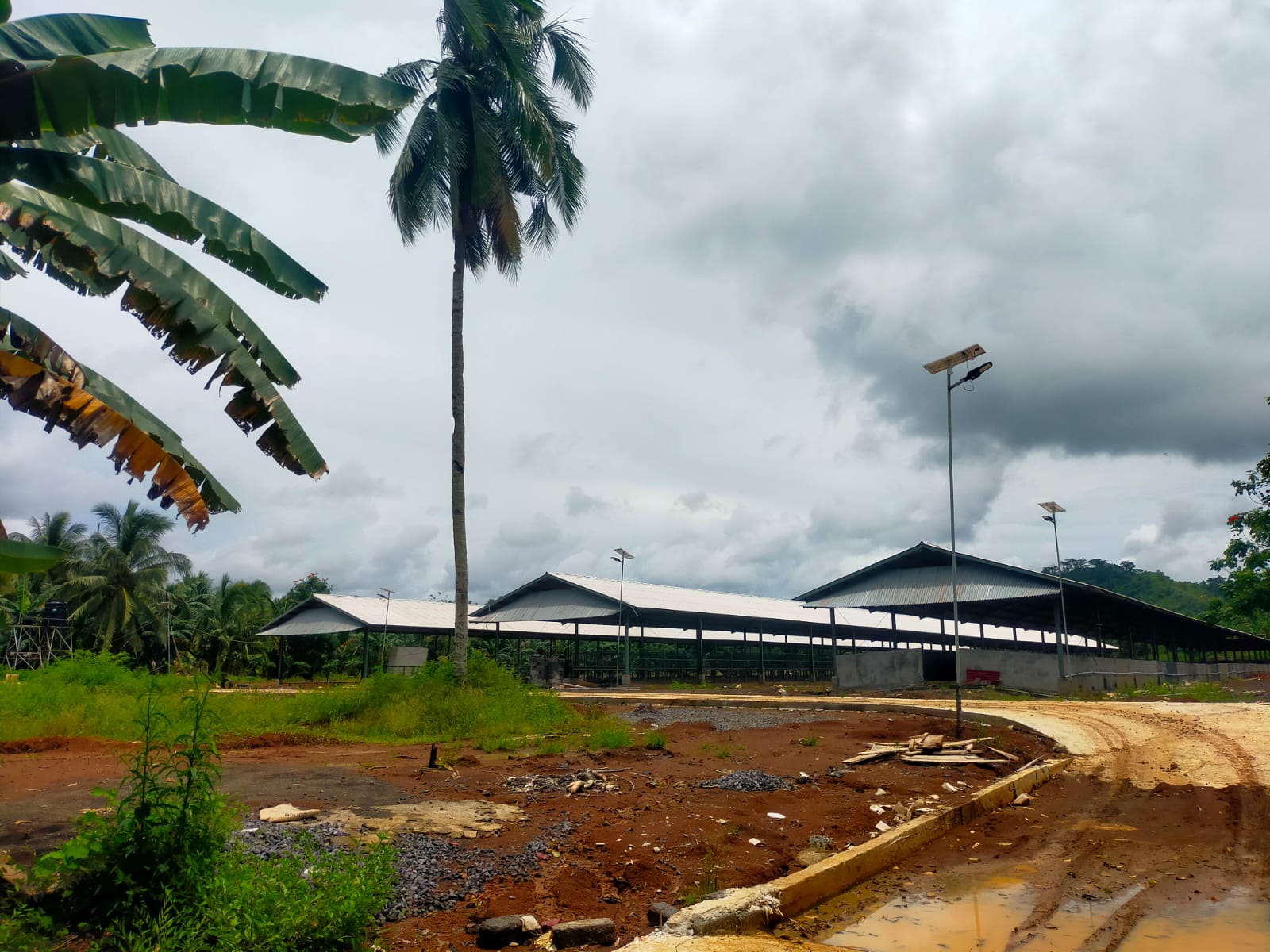 Tanaman Rusak, Ketua Adat Talawaan Bantik dan Petani Tuntut PT. NUSA ANDIKA Segera Ganti Rugi