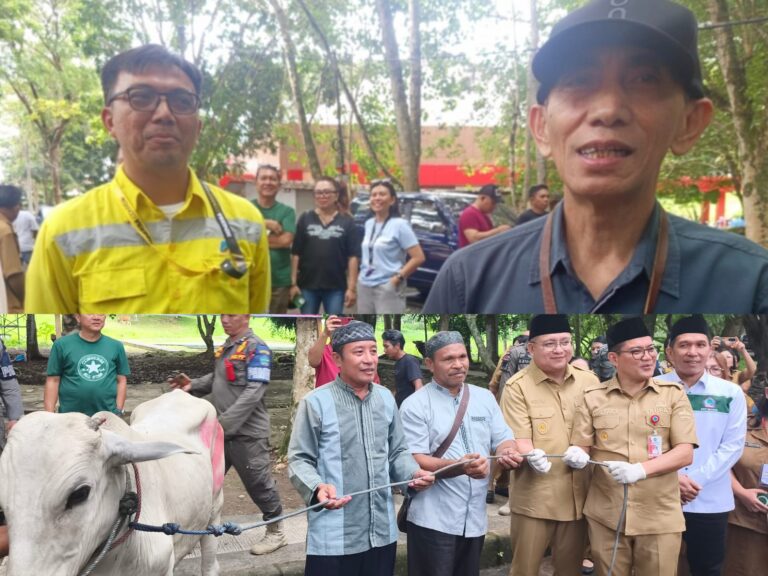 Sebanyak 17 Ekor Sapi Kurban Disalurkan PT Archi Indonesia ke Kabupaten Minut dan Kota Bitung