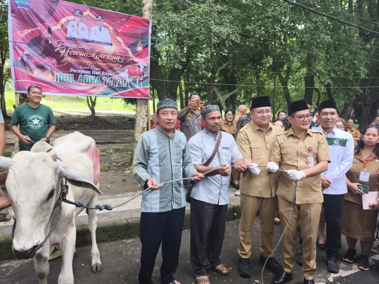 Bupati Joune Ganda Tebar Kepedulian di Idul Adha, 9 Sapi Kurban Sukses di Salurkan