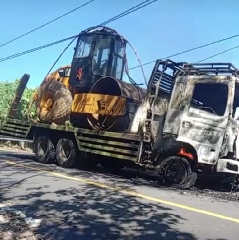 Waduhh…! Mobil Truk Tronton Hino Pengangkut Alat Berat Terbakar di Jalan Marinsow