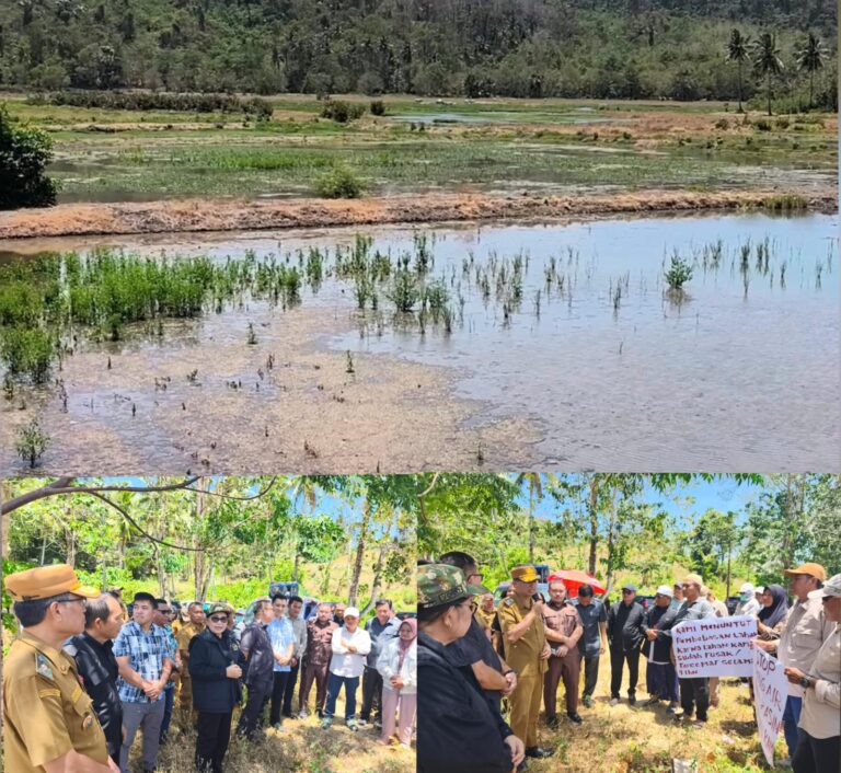 Ketua DPRD VAR Bersama Komisi II dan Pemkab Minut Turun Lokasi Dugaan Pencemaran Lingkungan di Desa Maen Akibat Aktivitas PT MSM